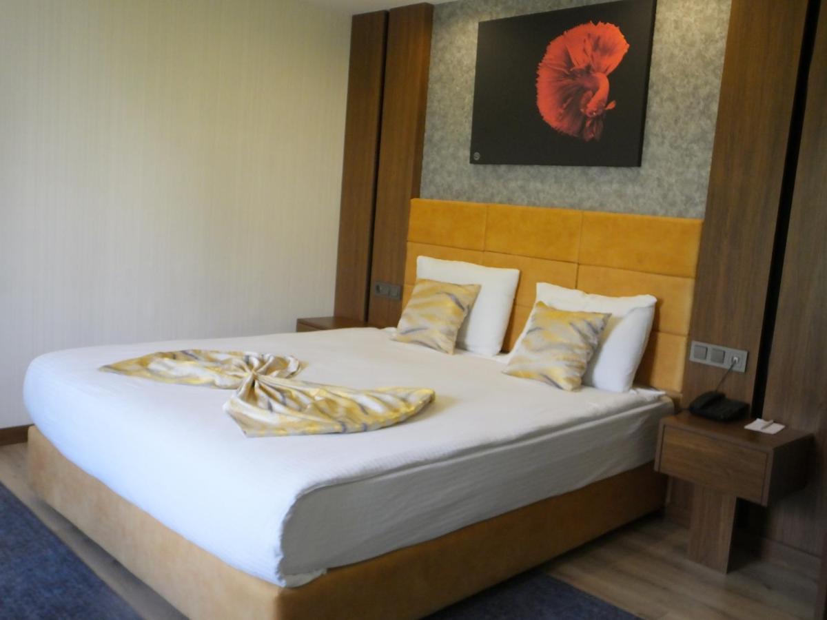 Ankuva Hotel アンカラ エクステリア 写真